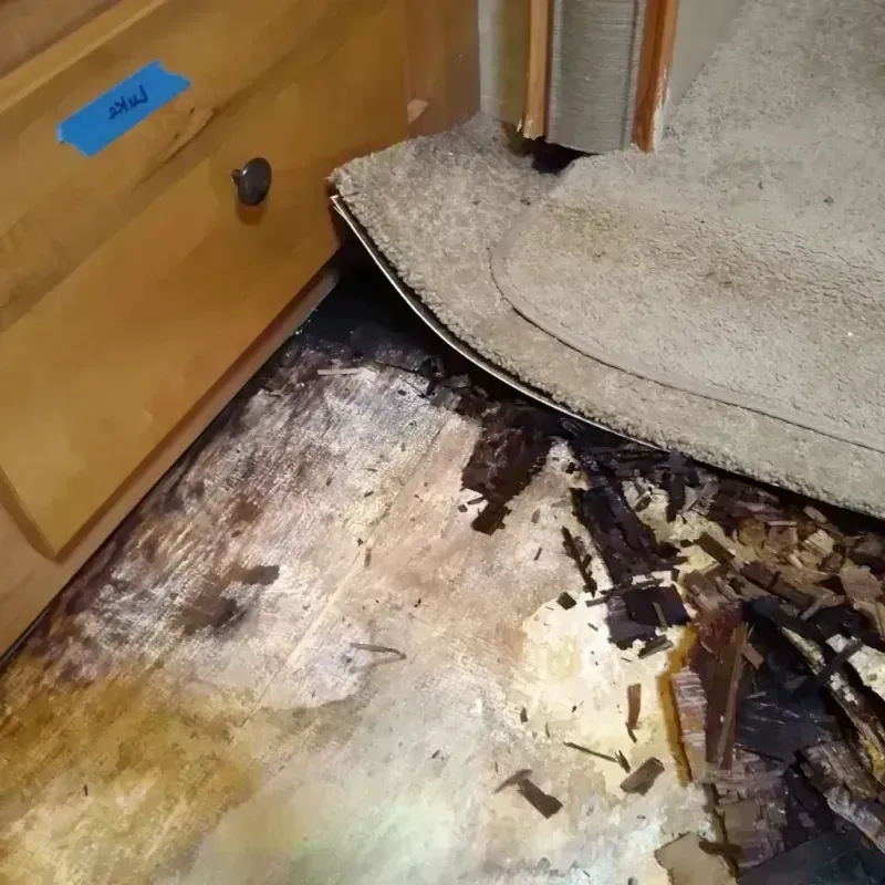 Wood Floor Water Damage in Morgantown, WV